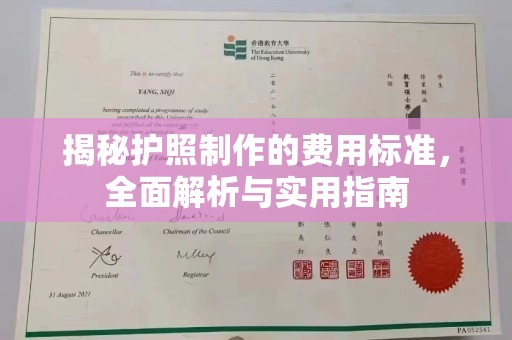 玉井揭秘护照制作的费用标准，全面解析与实用指南